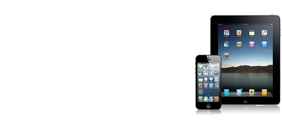 日本から持ってきたiPhoneやiPadでもネットが使える。